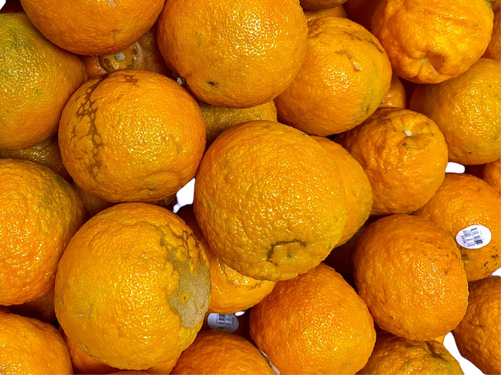 Sour Orange - Fresh - 1 Pound ( Narenj ) - Fresh Fruit - Kalamala - Kalamala